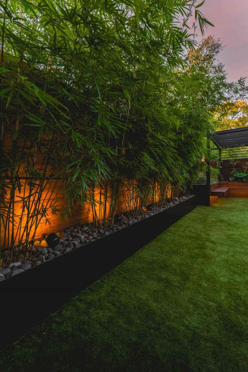 Bamboo screen lit along a dark fence with lawn and steel edging